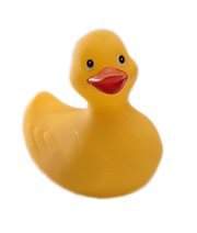 Rubber duck graphics