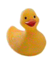 Rubber duck