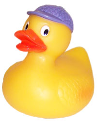 Rubber duck graphics