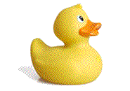 Rubber duck graphics