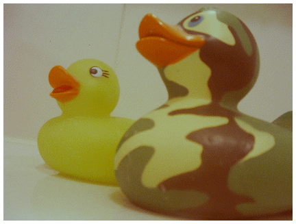 Rubber duck graphics