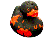 Rubber duck