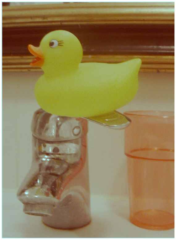 Rubber duck graphics