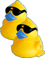 Rubber duck