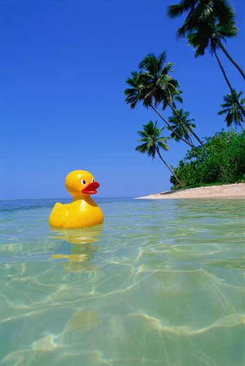 Rubber duck