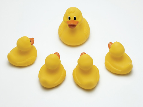 Rubber duck graphics