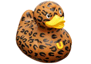 Rubber duck graphics