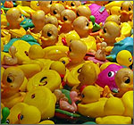 Rubber duck graphics