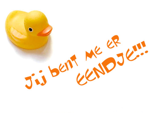 Rubber duck graphics