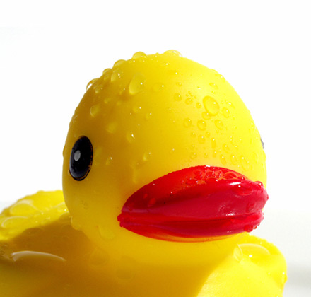 Rubber duck