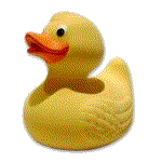 Rubber duck graphics