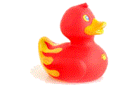 Rubber duck graphics