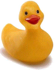 Rubber duck