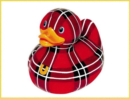 Rubber duck