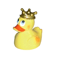 Rubber duck