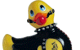 Rubber duck graphics