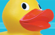 Rubber duck