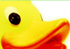 Rubber duck graphics