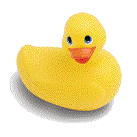 Rubber duck