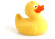 Rubber duck graphics