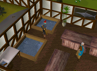 Runescape graphics