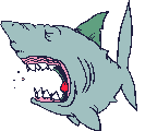 Sharks graphics