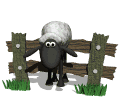 Sheep graphics
