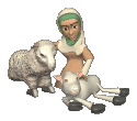 Shepherds graphics