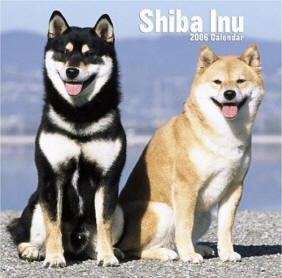 Shibas graphics