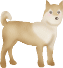 Shibas graphics