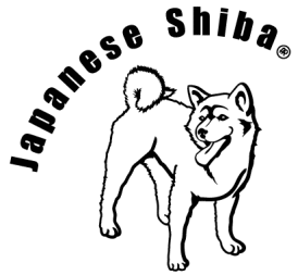 Shibas graphics