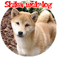 Shibas