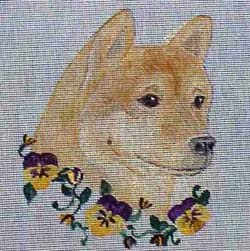 Shibas graphics