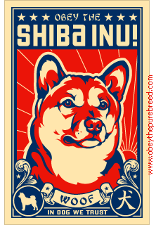 Shibas graphics