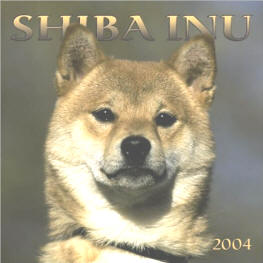 Shibas graphics