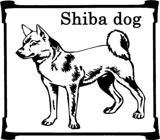 Shibas graphics