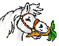 Sinterklaas graphics