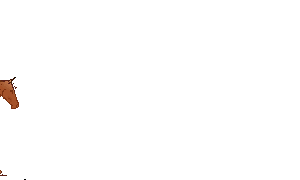 Sinterklaas graphics