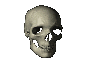 Skeleton graphics