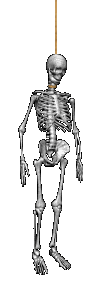 graphics-skeleton-386241.gif