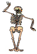 Skeleton graphics