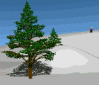 Skiing graphics