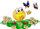 Smilies graphics