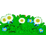 Smilies graphics