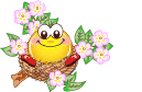 Smilies graphics