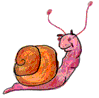 Snails graphics