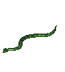Snakes graphics