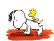 Snoopy graphics