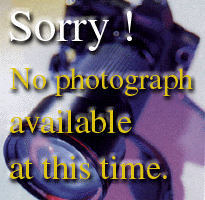 Sorry graphics