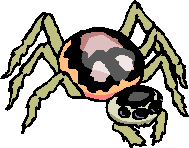 Spiders graphics